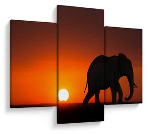 Tablou cu elefant în apus de soare (90x60 cm)