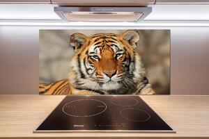 Panou sticlă bucătărie tigru bengalez
