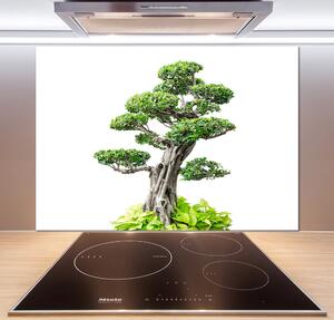 Sticlă pentru bucătărie copac bonsai
