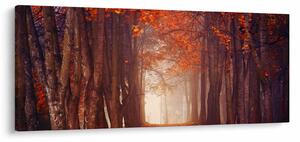 Tablou - Pădurea de toamnă (120x50 cm)