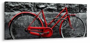 Tablou - Bicicleta istorică (120x50 cm)