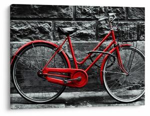 Tablou - Bicicleta istorică (70x50 cm)