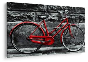 Tablou - Bicicleta istorică (90x60 cm)