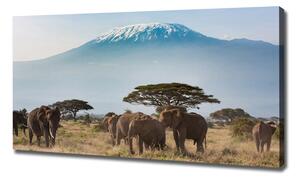 Tablou canvas elefanți Kilimanjaro