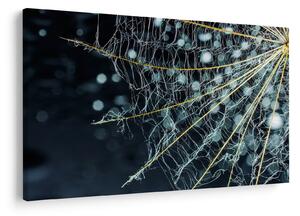 Tablou - Floare cu pânză de pâianjen (90x60 cm)