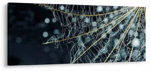 Tablou - Floare cu pânză de pâianjen (120x50 cm)