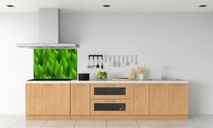 Panou sticlă decorativa bucătărie Frunze verzi