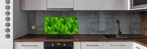 Panou sticlă decorativa bucătărie Frunze verzi