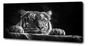 Tablou pe pânză Tigru