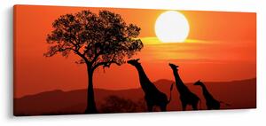 Tablou cu girafe în apus de soare (120x50 cm)