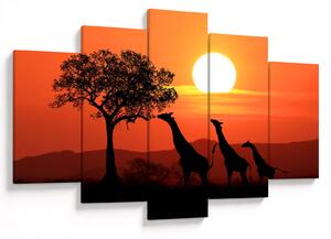 Tablou cu girafe în apus de soare (150x105 cm)