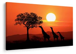Tablou cu girafe în apus de soare (90x60 cm)