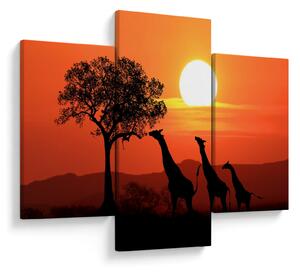 Tablou cu girafe în apus de soare (90x60 cm)