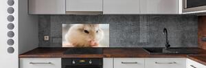 Panou sticlă decorativa bucătărie Hamster