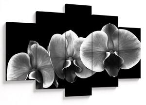 Tablou floare de orhidee (150x105 cm)