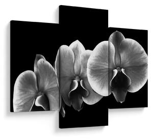 Tablou floare de orhidee (90x60 cm)