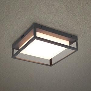 Plafonieră cu LED-uri pentru exterior Witham IP54, CCT, antracit