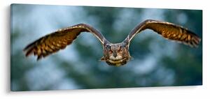 Tablou -Bufnita în zbor (120x50 cm)