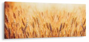 Tablou - câmp cu grâne (120x50 cm)