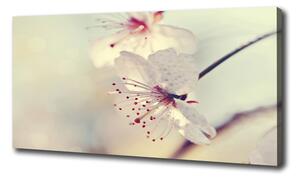 Tablou pe pânză floare de cires