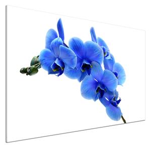 Panou sticlă decorativa bucătărie albastru orhidee