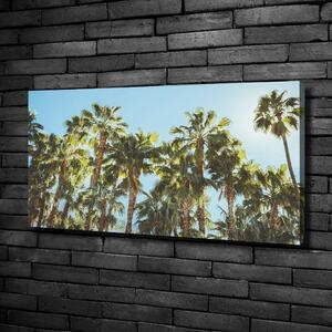 Tablou canvas palmieri înalți