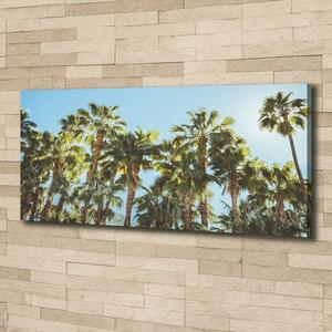 Tablou canvas palmieri înalți