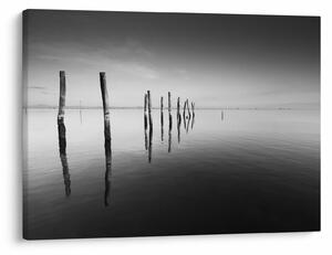 Tablou cu nivelul de lac alb negru (70x50 cm)