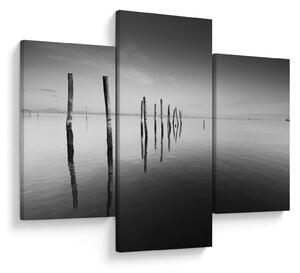 Tablou cu nivelul de lac alb negru (90x60 cm)