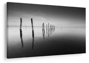 Tablou cu nivelul de lac alb negru (90x60 cm)