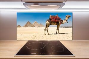 Sticlă pentru bucătărie Camel la Cairo