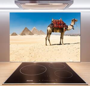 Sticlă pentru bucătărie Camel la Cairo