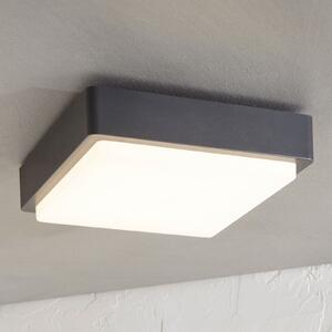 Lindby LED lampă de tavan pentru exterior Nermin, 22 cm, IP65, unghiulară