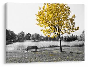 Tablou - relaxare în parc (70x50 cm)