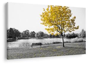 Tablou - relaxare în parc (90x60 cm)