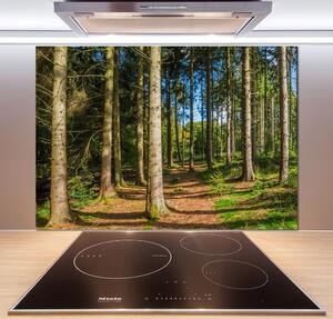 Panou de bucătărie Panorama de pădure