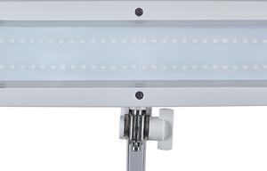 MAULintro LED lumina de lucru, alb, 46 cm, stand