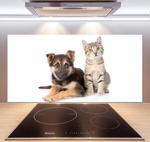 Sticlă pentru bucătărie Câine și pisică
