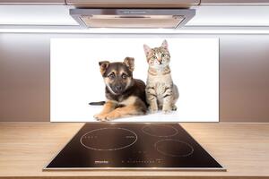 Sticlă pentru bucătărie Câine și pisică