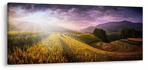 Tablou peisajului (120x50 cm)