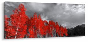 Tablou - Copaci în culorile toamnei (120x50 cm)