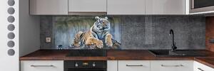 Panou perete bucătărie Tigru