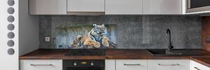 Panou perete bucătărie Tigru