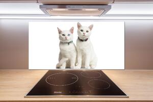 Sticlă bucătărie pisici albe