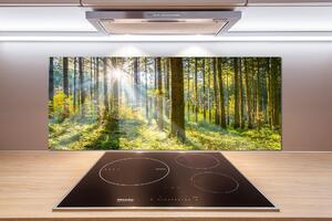 Panou sticlă decorativa bucătărie Pădurea în soare