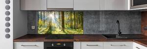 Panou sticlă decorativa bucătărie Pădurea în soare