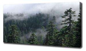 Tablou pe pânză ceață pădure