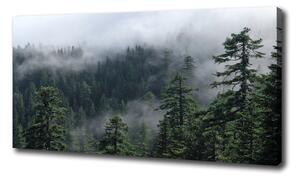 Tablou pe pânză ceață pădure