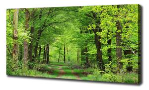 Tablou canvas pădure de primăvară