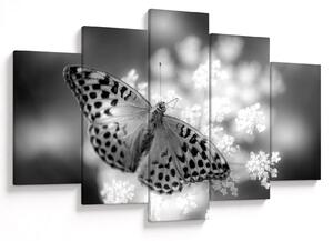 Tablou - Detailu cu fluture care polenizează floare (150x105 cm)